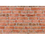 Кирпич облицовочный Roben Moorbrand lehm-bunt, 240х115х71 мм
