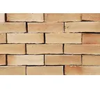 Кирпич клинкерный Muhr 06 S Hellbraun-bunt Spezial Wasserstrich, 215х102х65 мм