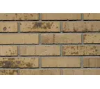 Кирпич облицовочный Terca Putty Multi Gesinterd 210х100х50 мм