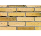 Кирпич облицовочный Terca Teunisbloem, 210х100х50 мм