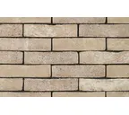 Кирпич облицовочный Terca Prata Genuanceerd, 215х65х50 мм