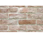 Декоративный кирпич REDSTONE Dover frost DF-64/R, 240х71 мм