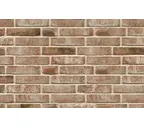 Кирпич облицовочный Muhr Nr 31, Alt Maasbrand, 210х100х50 мм