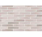 Кирпич облицовочный Randers Tegl Prima RT473, 228х108х40 мм