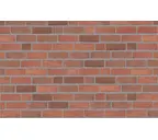 Кирпич облицовочный Randers Tegl Classica RT448, 215х102х65 мм