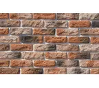 Декоративный кирпич White Hills Брюгге брик Design цвет 316-50