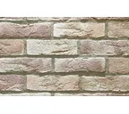 Декоративный кирпич REDSTONE Dover frost DF-63/64/R, 240х71 мм