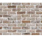 Кирпич S.Anselmo Antic Line VGWA, Selmo, 240х115х70 мм