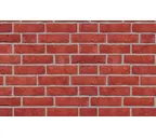Кирпич облицовочный Roben Formback rot-braun, 240х115х71 мм