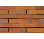 Кирпич облицовочный Terca Goudsbloem, 210х100х50 мм