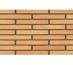 Кирпич клинкерный Muhr 23 Morgenrote гладкий, 290х90х40 мм