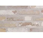 Кирпич облицовочный Terca Oud Laethem, 215х102х50 мм