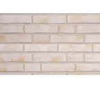 Кирпич облицовочный Randers Tegl Prima RT485, 228х108х54 мм