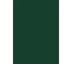 Плита ЛДСП Egger 16х2800х2070 U606 Зелёный лес ST9