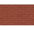 Кирпич облицовочный Terca Spaans Rood, 215х102х50 мм