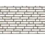 Плитка Randers Tegl Prima RT485, 228х54х35 мм