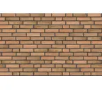 Кирпич облицовочный Randers Tegl Classica RT433, 228х108х54 мм